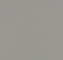 Линолеум Forbo Marmoleum Decibel on Order 336735 alloy фото 1 | FLOORDEALER